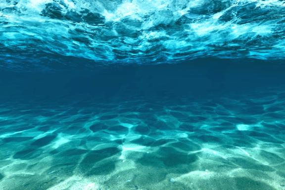 Light-filled image of the sea floor