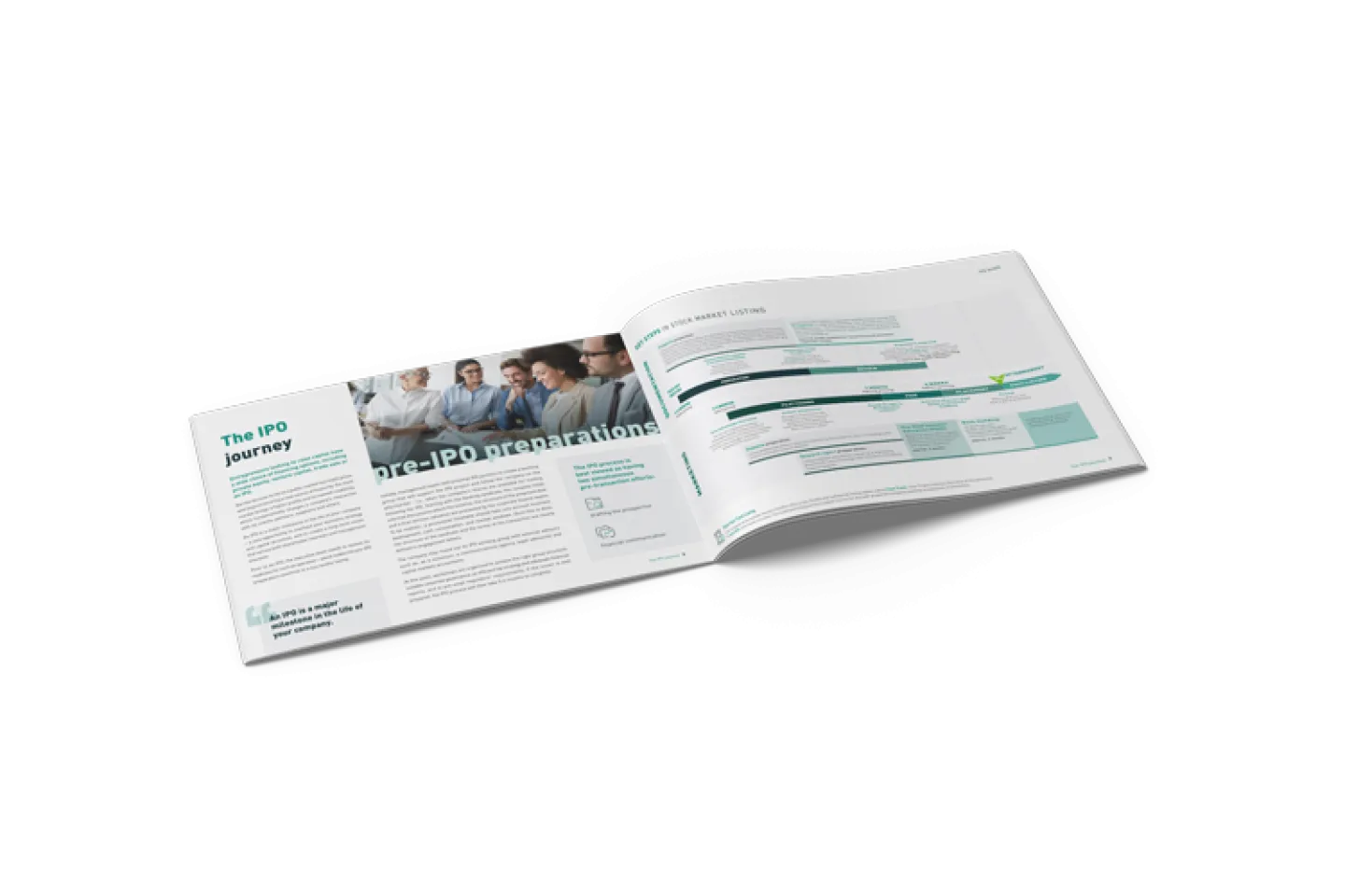 IPO guide mockup